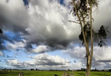 必赢体育官网：[中国男篮]中国男、女三人篮球队跻身亚洲杯八强.