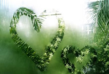 中超第三轮 四大豪门表现最好的球员 海港是李新翔 申花是米内罗.