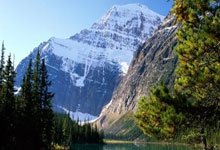 必赢体育官网：上海申花看到亚冠八强的希望 但今年伤病猛于虎.