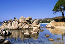 半场：博德鲁姆体育1-4费内巴切，普斯卡什、塔利斯卡点射.